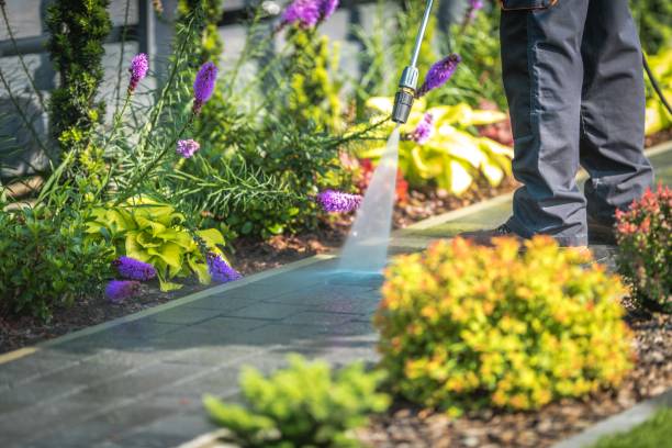 Best Winterizing Services  in Oran, MO
